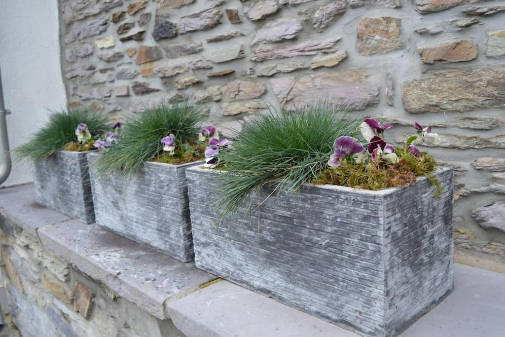 Gite La Forge Lierneux ภายนอก รูปภาพ