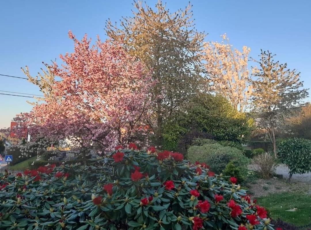 Gite La Forge Lierneux ภายนอก รูปภาพ