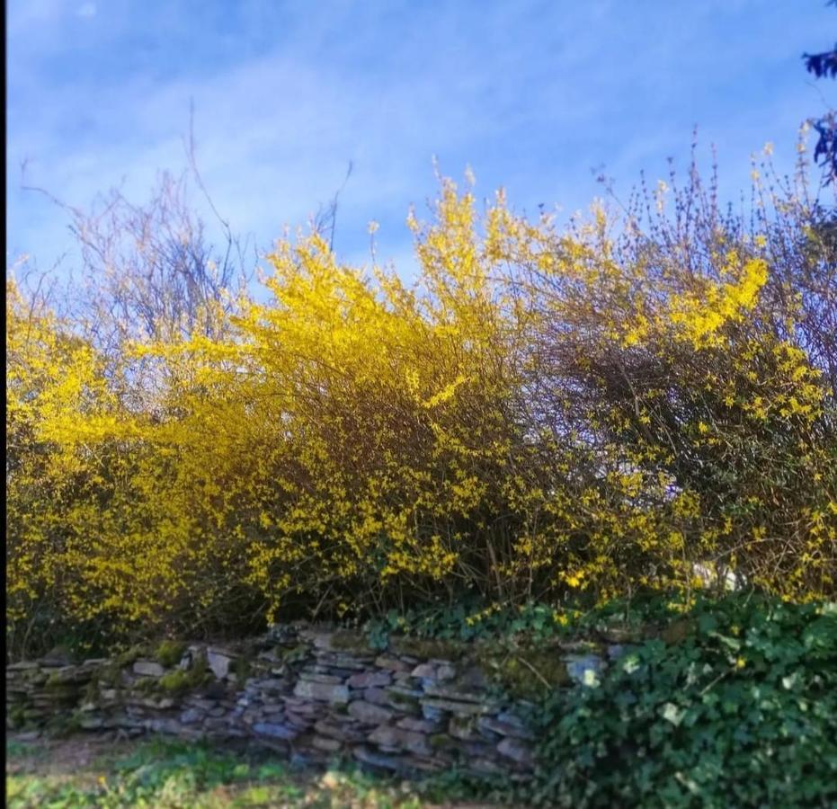 Gite La Forge Lierneux ภายนอก รูปภาพ